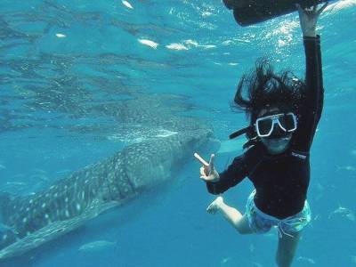 What Everybody Needs to know when Swimming with Whale Sharks