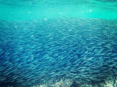 Placeholder Happy Juanderer