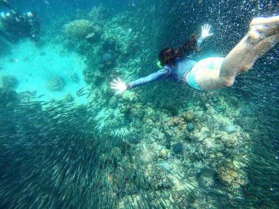 Placeholder Happy Juanderer