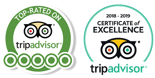 Tripadvisor 1