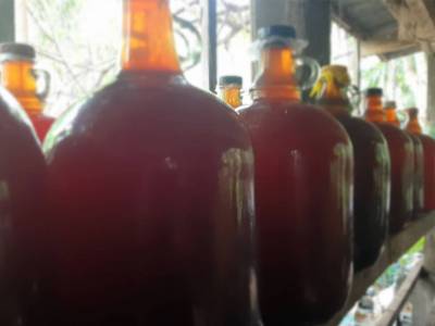 The Unfortunate Truth About Cebu’s Tuba Industry